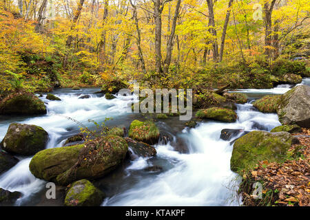 Oirase Bergbach Stockfoto