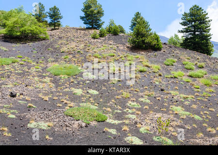 Grüne Gras am Hang des alten vulkanischen Krater Stockfoto