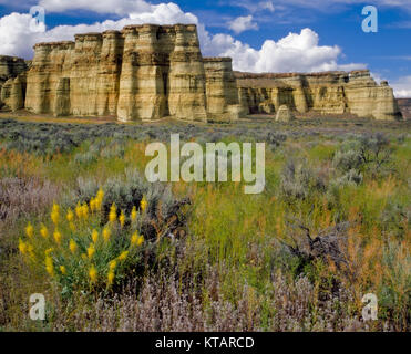 Cumulus Wolken über die Säulen von Rom und der Frühjahrsblüte des Prince's Plume in SE des Oregon remote Malheur County. Stockfoto