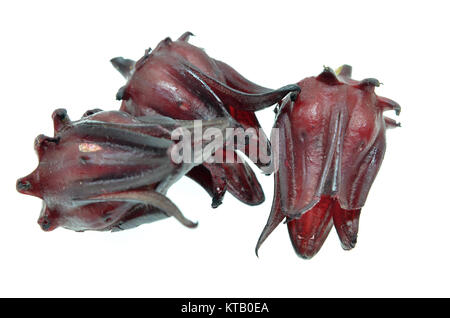 Hibiscus sabdariffa oder roselle Früchte Stockfoto