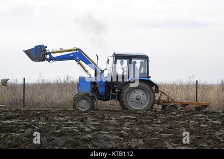 Traktor pflügen den Garten. Das Pflügen der Erde im Garten Stockfoto