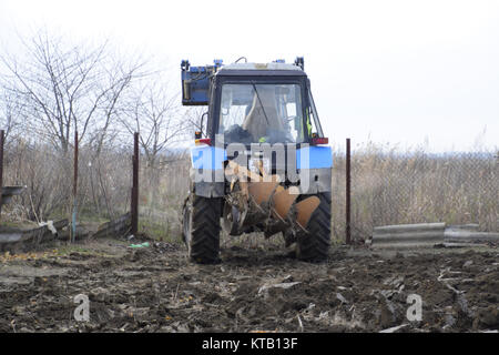 Traktor pflügen den Garten. Das Pflügen der Erde im Garten Stockfoto