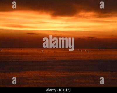 Red Rückgang am Meer Stockfoto