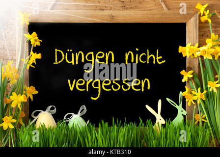 Tafel mit deutschem Text Duengen Nicht Vergessen bedeutet Nicht den Mist vergessen. Sonnige Frühling Blumen Narzissen oder Narzisse mit Gras, Osterei und Hase. Rustikale Alter Holz- Hintergrund. Stockfoto