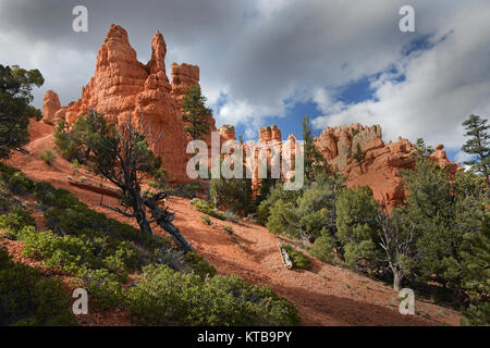 Red Canyon, Utah in der Nähe des Bryce Canyon. Red Rock Turmspitzen und Hoodoos hoch über der Schlucht vor einem blauen Himmel mit Wolken. Stockfoto