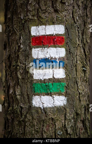 Bunte Zeichen zum Wandern auf der Rinde eines Baumes Stockfoto