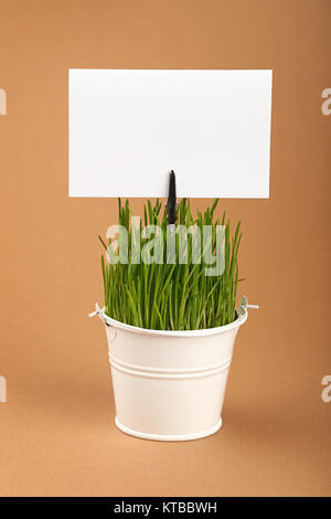 Frühjahr grünes Gras und Zeichen in Eimer über Braun Stockfoto