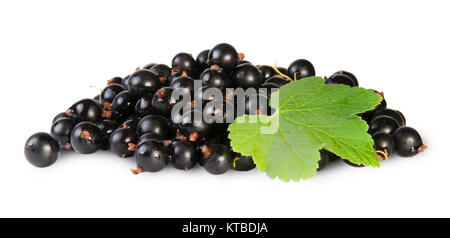 Bündel von schwarzen Johannisbeeren mit Blatt Stockfoto