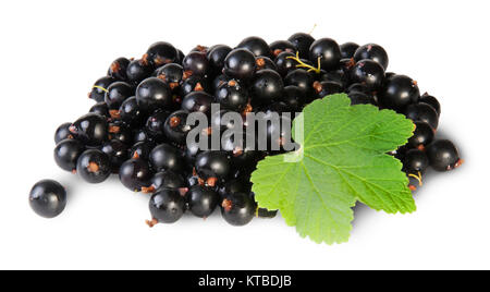 Bündel von schwarzen Johannisbeeren mit Blatt gedreht Stockfoto