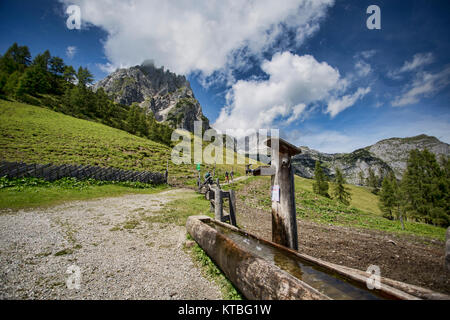 Alpen und alpinen Landschaft am Mühlbach am Hochkönig im Sommer Österreich Europa Stockfoto