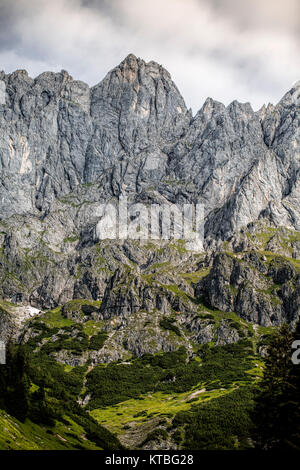 Alpen und alpinen Landschaft am Mühlbach am Hochkönig im Sommer Österreich Europa Stockfoto