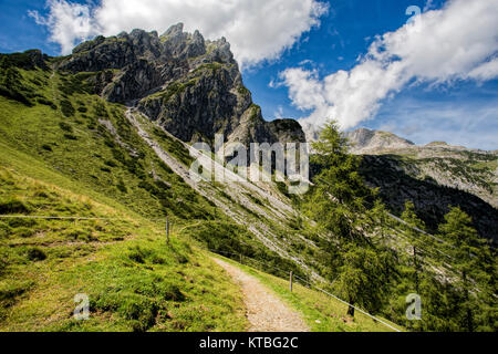 Alpen und alpinen Landschaft am Mühlbach am Hochkönig im Sommer Österreich Europa Stockfoto