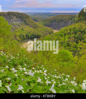 Great Bend übersehen, Genesee River, Letchworth State Park, Kastilien, New York, USA Stockfoto