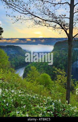 Great Bend übersehen, Genesee River, Letchworth State Park, Kastilien, New York, USA Stockfoto
