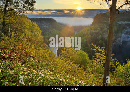 Great Bend übersehen, Genesee River, Letchworth State Park, Kastilien, New York, USA Stockfoto