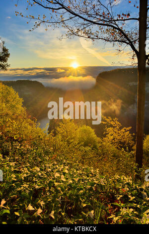 Great Bend übersehen, Genesee River, Letchworth State Park, Kastilien, New York, USA Stockfoto