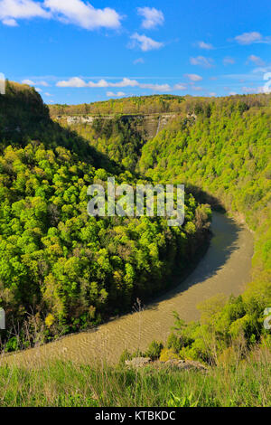 Great Bend übersehen, Letchworth State Park, Kastilien, New York, USA Stockfoto