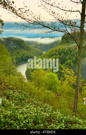 Great Bend übersehen, Genesee River, Letchworth State Park, Kastilien, New York, USA Stockfoto