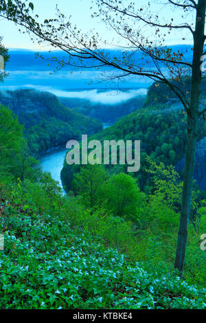 Great Bend übersehen, Genesee River, Letchworth State Park, Kastilien, New York, USA Stockfoto