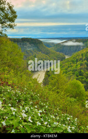 Great Bend übersehen, Genesee River, Letchworth State Park, Kastilien, New York, USA Stockfoto