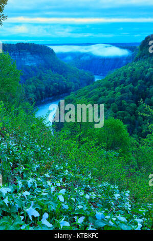 Great Bend übersehen, Genesee River, Letchworth State Park, Kastilien, New York, USA Stockfoto