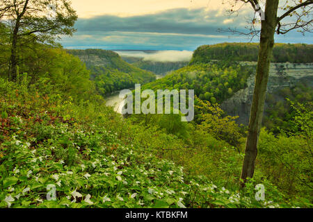 Great Bend übersehen, Genesee River, Letchworth State Park, Kastilien, New York, USA Stockfoto