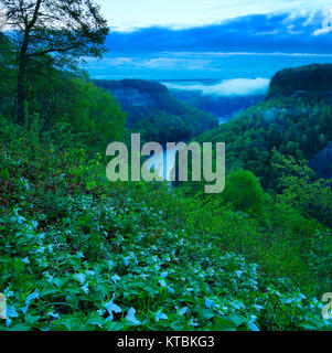 Great Bend übersehen, Genesee River, Letchworth State Park, Kastilien, New York, USA Stockfoto