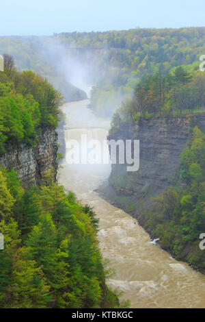 Inspiration Point, Mitte fällt, Genesee River, Letchworth State Park, Kastilien, New York, USA Stockfoto