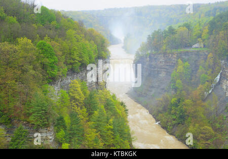 Inspiration Point, Mitte fällt, Genesee River, Letchworth State Park, Kastilien, New York, USA Stockfoto