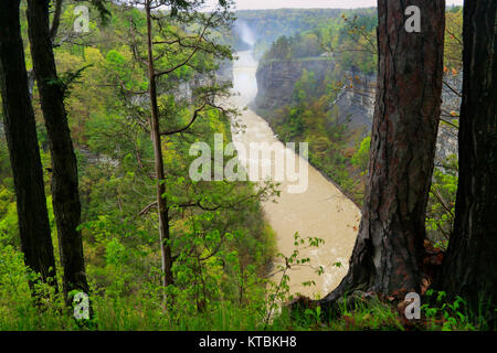 Inspiration Point, Mitte fällt, Genesee River, Letchworth State Park, Kastilien, New York, USA Stockfoto