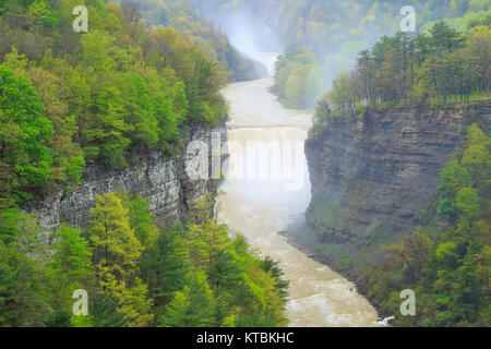 Inspiration Point, Mitte fällt, Genesee River, Letchworth State Park, Kastilien, New York, USA Stockfoto