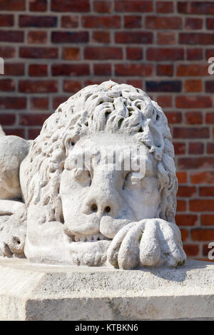 Stein Skulptur eines Löwen, Rathausturm, Krakau, Polen Stockfoto