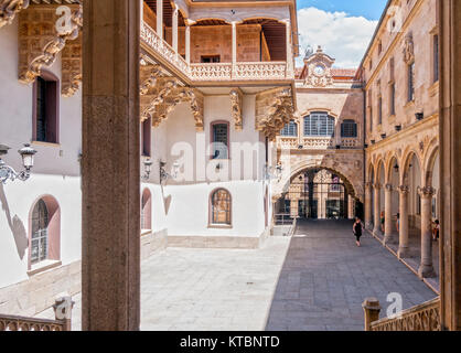 Palacio de la Salina. Salamanca. Ciudad Patrimonio de la Humanidad. Castilla León. España Stockfoto