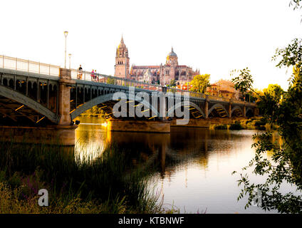 Catedral de Salamanca. Ciudad Patrimonio de la Humanidad. Castilla León. España Stockfoto