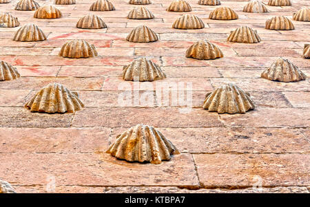 Casa de las Conchas. Salamanca. Ciudad Patrimonio de la Humanidad. Castilla León. España Stockfoto