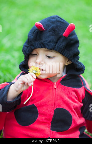 Kleines Mädchen in einem Marienkäfer-Kostüm Stockfoto