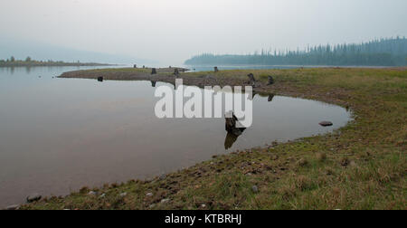 Canyon Creek Campground auf die hungrigen Pferd Behälter während der 2017 fallen Brände in Montana, Usa Stockfoto