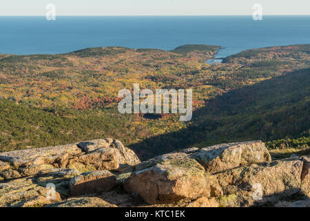 Blick auf den Wald von Cadillac Mountain in Acadia Stockfoto