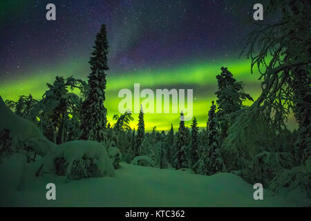 Northern lights Bild im Finish Lappland genommen Stockfoto