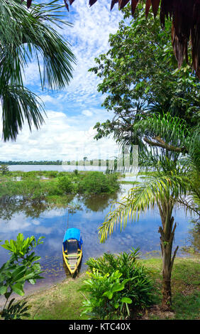 Kanu im Amazonas Regenwald Stockfoto