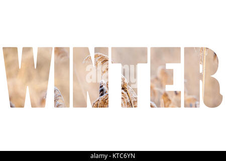 Wort WINTER über traditionelle polnische Landschaft. Stockfoto