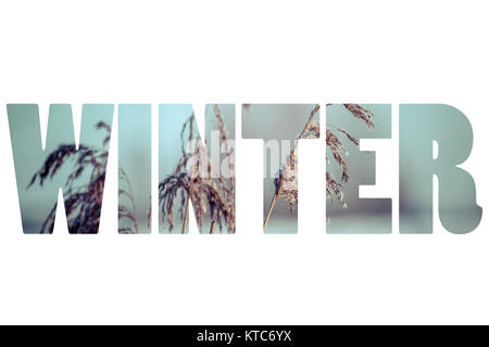 Wort WINTER über traditionelle polnische Landschaft. Stockfoto