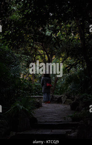Frau, die am Ende des Wanderweges mit roter Handtasche in einem Wald mit vielen grünen Pflanzen steht