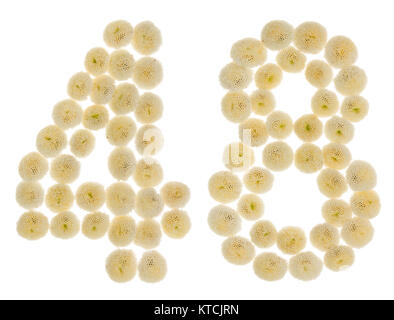 Arabische Zahlen 48, 48, aus Rahm Blumen der Chrysantheme, auf weißem Hintergrund Stockfoto