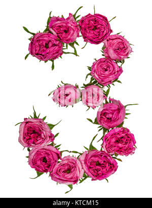 Arabische Zahl 3, Drei, von roten Blüten der Rose, auf weißem Hintergrund Stockfoto