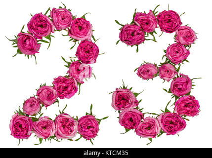 Arabische Zahlen 23, 23, von roten Blüten der Rose, auf weißem Hintergrund Stockfoto