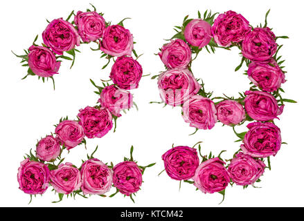 Arabische Zahlen 29, 29, von roten Blüten der Rose, auf weißem Hintergrund Stockfoto