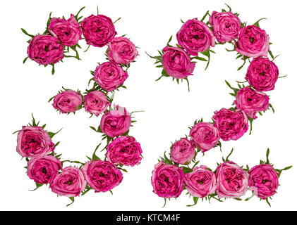 Arabische Zahlen 32, 32, von roten Blüten der Rose, auf weißem Hintergrund Stockfoto