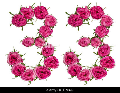 Arabische Zahlen 33, 33, von roten Blüten der Rose, auf weißem Hintergrund Stockfoto