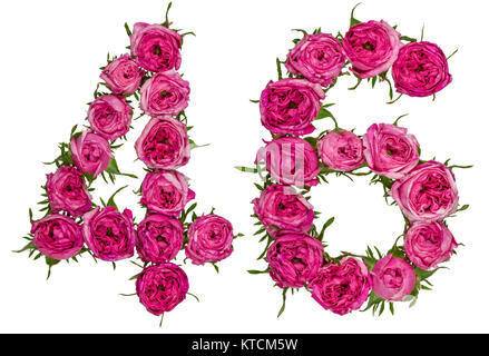 Arabische Zahlen 46, 46, von roten Blüten der Rose, auf weißem Hintergrund Stockfoto